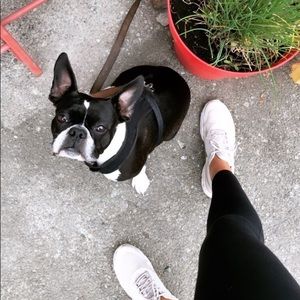 Meet your Posher, Julie